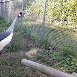 Photo n°4 de l'avis de Luis.a fait le 12/10/2021 à 22:19 sur le  Quinta do Lordelo à 