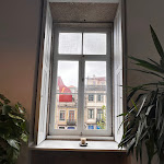 Photo n°6 de l'avis de Alba.I fait le 01/05/2024 à 11:55 sur le  FÁBRICA COFFEE ROASTERS - PORTO à Porto