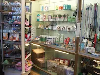 Linda's Critter Corral - Car repair in Lynn, MA, Lynn - Rated 4.6/5