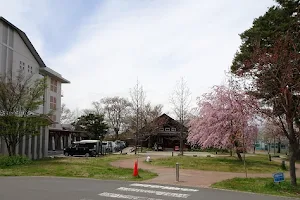 Shinsei Hospital image