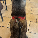 Photo n°8 de l'avis de Mauro.e fait le 26/03/2023 à 16:30 sur le  Trenta Passi Ristorante Pizzeria à Riva di Solto