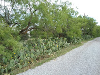 Texas Home Base, LLC - Photo 6 - Car repair in Wichita Falls, TX, Wichita Falls