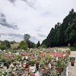 Photo n°8 de l'avis de Nina.f fait le 07/06/2022 à 05:30 sur le  Landhaus Ettenbühl à Bad Bellingen