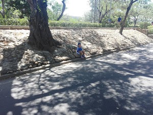 Ecoparque Pamplonita - photo 1