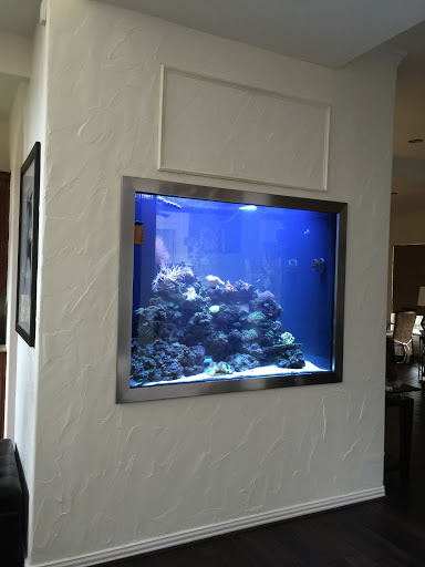 Tropical Fish Store «Saltwater Paradise», reviews and photos, 1313 W Airport Fwy, Irving, TX 75062, USA