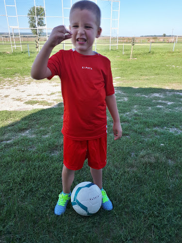 Opinii despre Zámolyi focipálya în Zámoly - Sportpálya