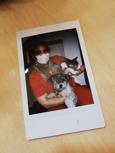 Centro Veterinario El Gat Roig en Valencia