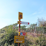 Photo n°6 de l'avis de Paola.. fait le 27/09/2021 à 17:06 sur le  Caffè Riviera à Dogliani