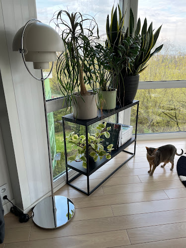 take me HOME. MEBLE - SHOWROOM - Warszawa