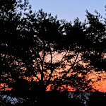 Photo n°29 de l'avis de Anne.. fait le 12/09/2022 à 19:26 sur le  Arkona Strandhotel à Binz