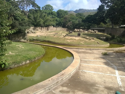 Caricuao Zoo