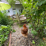 Photo n°4 de l'avis de Claas.e fait le 13/08/2021 à 21:24 sur le  Café Schmidthausen à Kleve