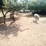 Photo n°7 de l'avis de Mario.i fait le 01/08/2019 à 23:35 sur le  Curia Palace, Hotel Spa & Golf à Anadia