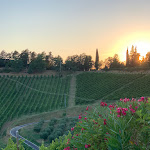 Photo n°3 de l'avis de Antonella.o fait le 17/07/2022 à 03:26 sur le  Podere Riosto à Pianoro