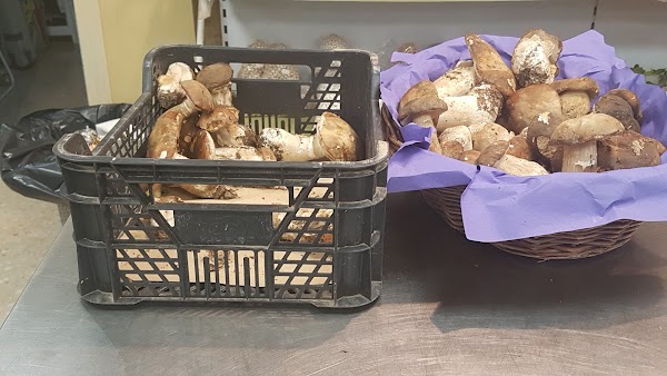 Imagen de El Racó del Pags (3 de 4)
