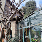 Photo n°4 de l'avis de Enomis. fait le 12/08/2022 à 10:04 sur le  Osteria del Fico Vecchio à Grottaferrata