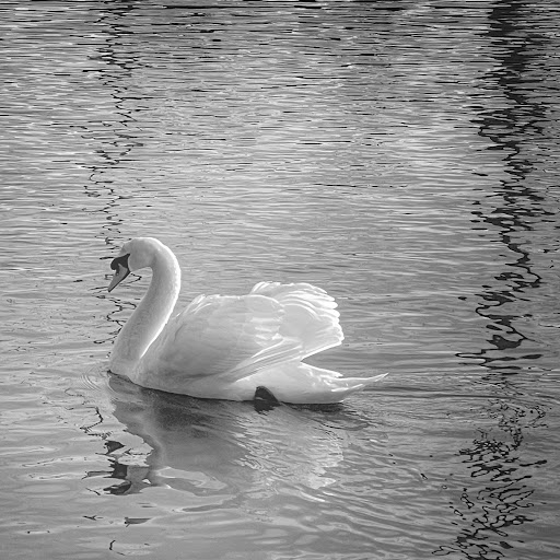 Park «Millennium Park», reviews and photos, 300 Gardner Street, West Roxbury, MA 02132, USA