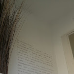 Photo n°1 de l'avis de paola.r fait le 10/10/2021 à 13:13 sur le  Pasticceria Maniscalco - Rainero à Valdilana