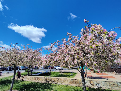 Saratoga Library image