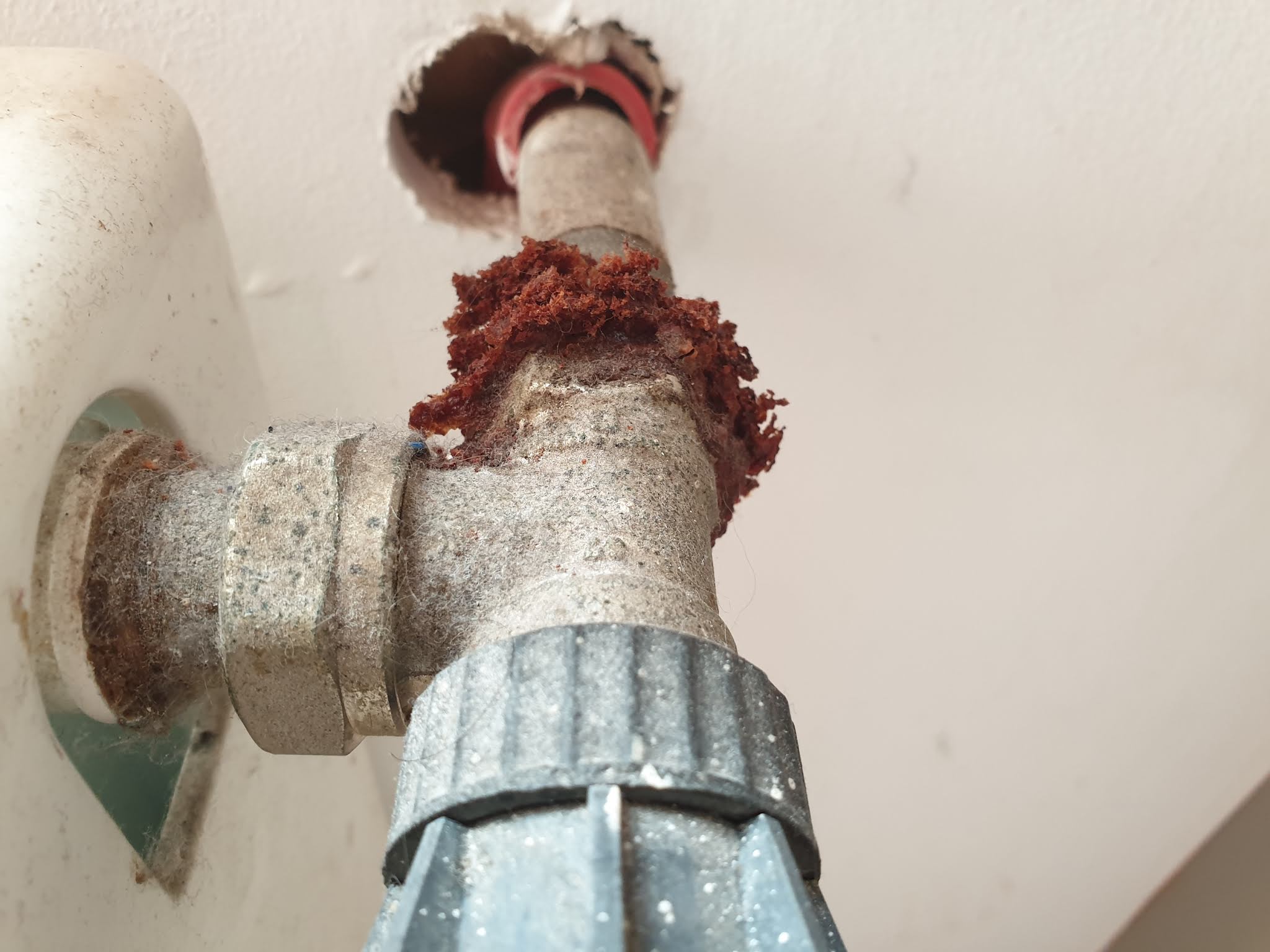 Photo n° 5 de l'avis de Eric.R fait le 26/01/2019 à 10:58