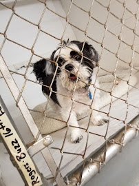 Suggs Kennel Inc - Photo 7 - Car repair in Augusta, GA, Augusta