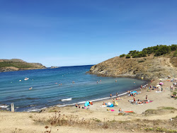 Photo de Platja del Borro avec plusieurs baies spacieuses