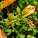 Photo n°1 de l'avis de Beppe.o fait le 19/08/2018 à 20:55 sur le  Affittacamere Borgo Gramsci 10 à Mondavio