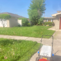 Bobby’s lawncare and landscaping - Car repair in Chicago, IL, Chicago - Rated 4.3/5