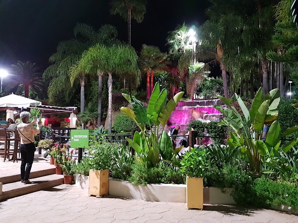 Imagen de Palma NOVA Beach (5 de 31)