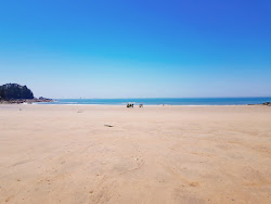 Zdjęcie Uihang Beach dziki obszar