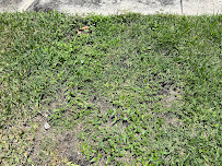 Truly Nolen Pest & Termite Control - Photo 7 - Car repair in Pompano Beach, FL, Fort Lauderdale