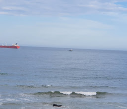 Ocean Basket Hartenbos photo