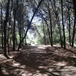 Photo n°1 de l'avis de Pasqualino. fait le 26/08/2020 à 12:35 sur le  Villaggio Selene Mare à Capaccio