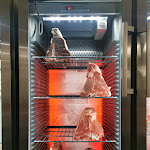 Photo n°7 de l'avis de Stefano.o fait le 05/09/2023 à 08:15 sur le  La Beccaccia Az. Agr. Agrituristica Di Serughetti à Grumello del Monte