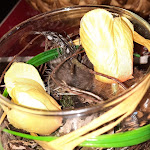 Photo n°1 de l'avis de J..o fait le 10/08/2022 à 09:17 sur le  Pizzeria Da Nandha (ehemals Zur Palme) à Echzell