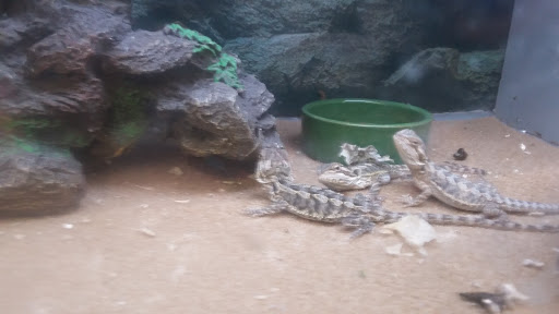 Pet Supply Store «Petco Animal Supplies», reviews and photos, 244 Pioneer Trail, Chaska, MN 55318, USA