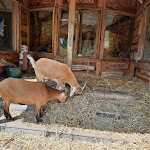 Photo n°4 de l'avis de Herbert.r fait le 10/08/2021 à 16:26 sur le  Marienteichbaude à Bad Harzburg