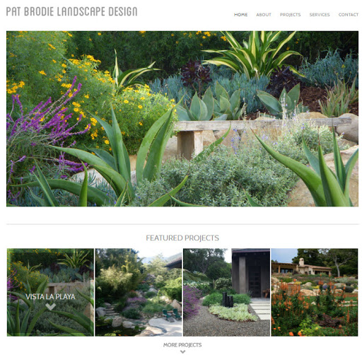 Ameravant Web Design image