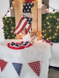 Bougie Cuts Pet Salon - Photo 3 - Car repair in Edinburg, TX, McAllen