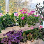 Photo n°3 de l'avis de Milena.r fait le 02/09/2020 à 12:58 sur le  Stube 48 Gilching à Gilching