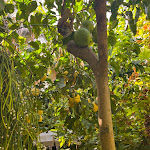 Photo n°8 de l'avis de Damian.e fait le 01/09/2022 à 10:32 sur le  O'Parrucchiano La Favorita à Sorrento