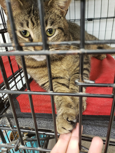 Pet Supply Store «Pet Supplies Plus», reviews and photos, 3733 Union Rd #200, Cheektowaga, NY 14225, USA