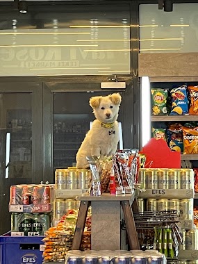 Mavi Köşe Tekel Bayi