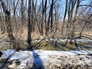 Rasmussen Woods - photo 3