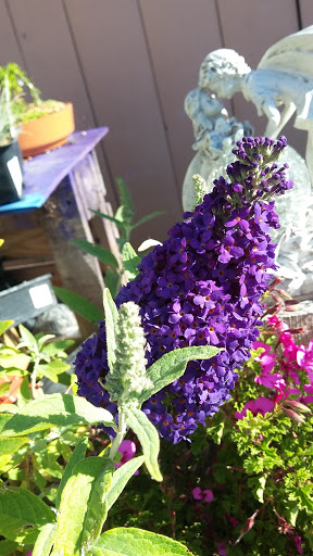 Book Store «Pipe & Thimble Bookstore», reviews and photos, 24830 Narbonne Ave, Lomita, CA 90717, USA