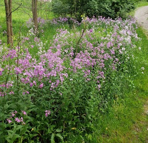 Harroun Community Park - photo 57