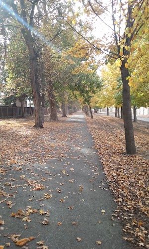 W.E. Johnson Park - photo 37
