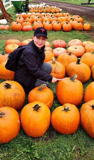 Pumpkin Patch «Rutledge Corn Maze LLC», reviews and photos, 302 93rd Ave SE, Olympia, WA 98501, USA