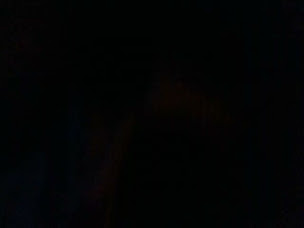 Photo n°6 de Friterie ch'ti biloute Oyonnax à Géovreisset ()