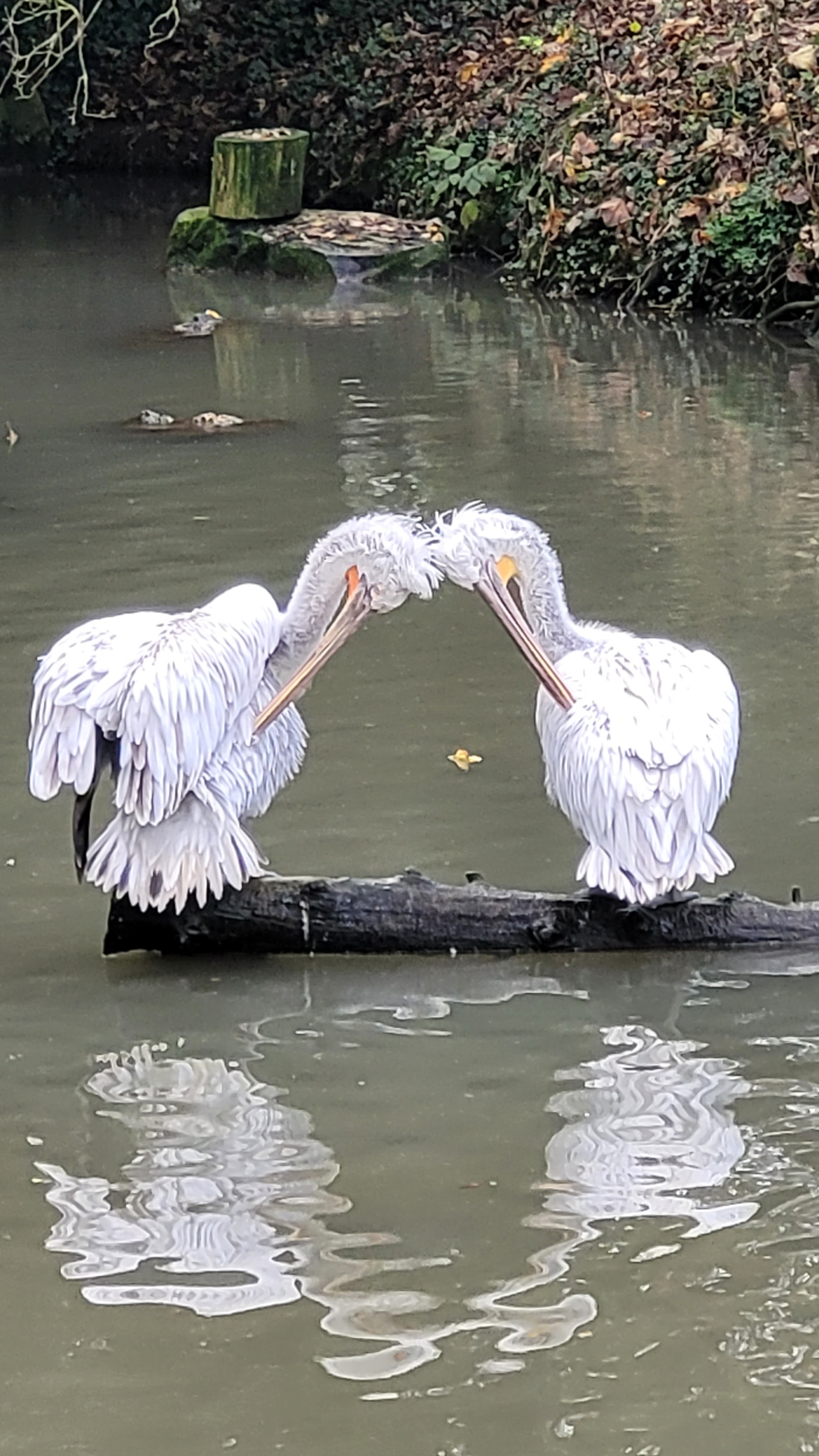 Photo n° 11 de l'avis de Sophie.a fait le 22/11/2023 à 15:36